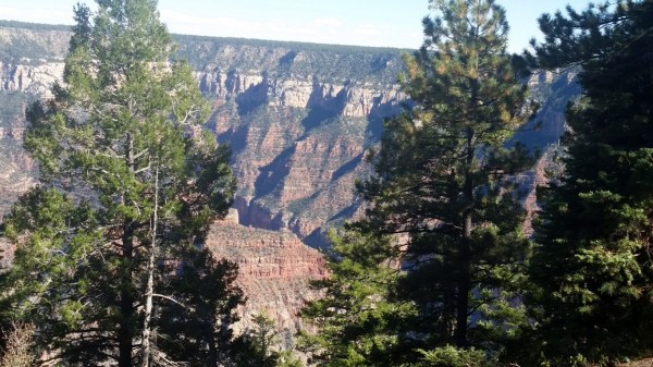 20151002_145027 (Medium)