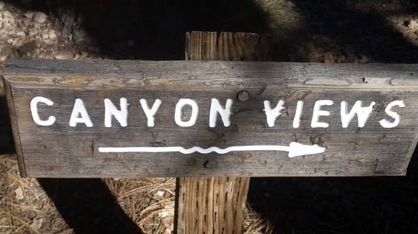 20151002_145045 (Medium)