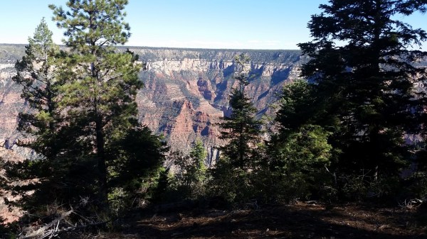 20151002_145224 (Medium)