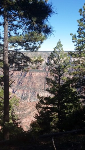 20151002_145226 (Medium)