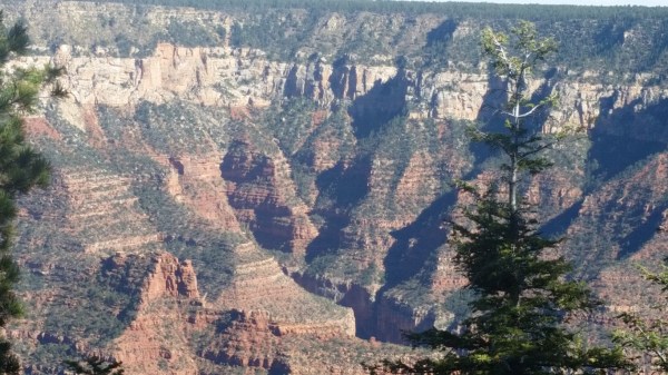 20151002_145258 (Medium)