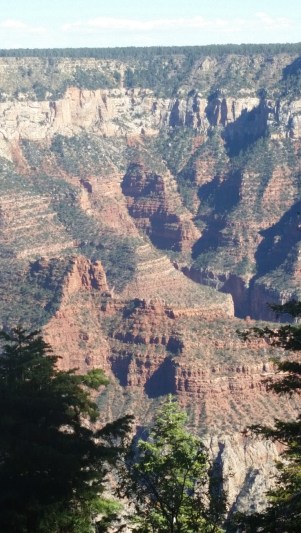 20151002_145308 (Medium)