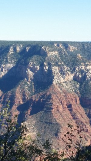 20151002_150029 (Medium)