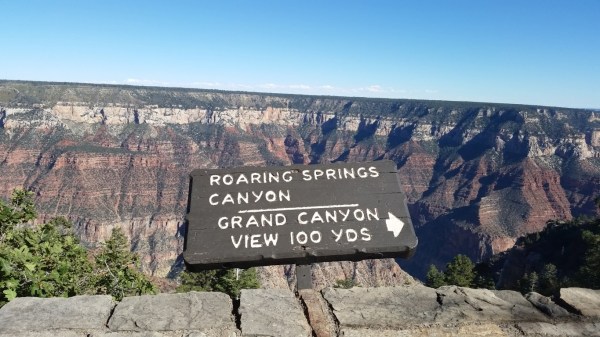 20151002_150313 (Medium)