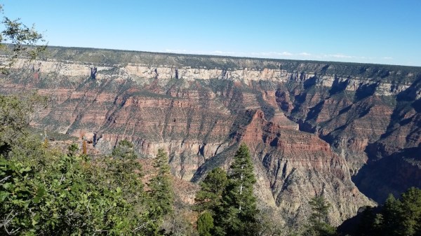 20151002_150611 (Medium)