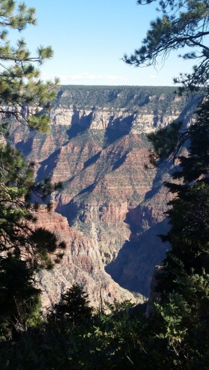 20151002_151057 (Medium)