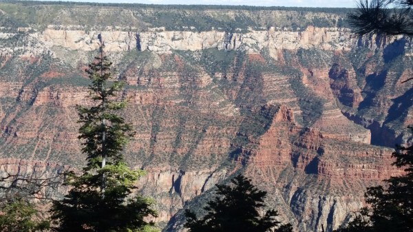 20151002_151142 (Medium)