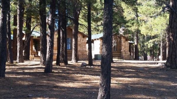 20151002_151202 (Medium)