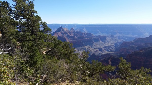 20151002_151448 (Medium)