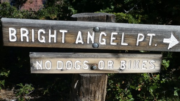 20151002_151454 (Medium)