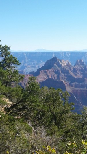 20151002_151527 (Medium)