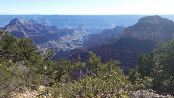 20151002_151545 (Medium)