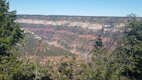 20151002_151801 (Medium)