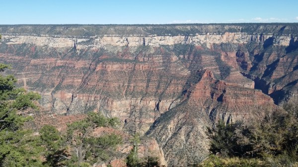 20151002_152556 (Medium)