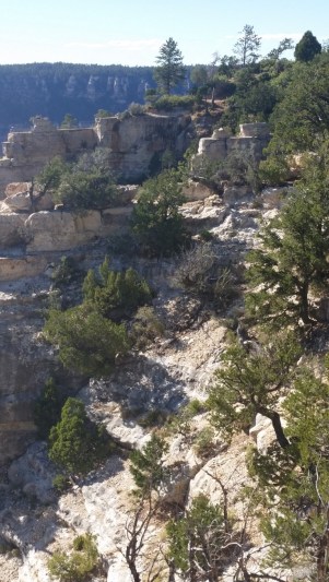 20151002_152817 (Medium)