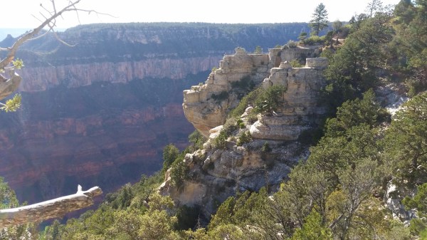 20151002_153007 (Medium)