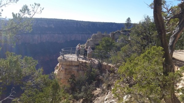 20151002_153101 (Medium)