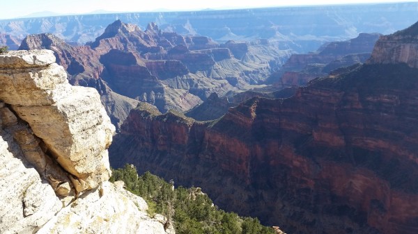 20151002_153146 (Medium)