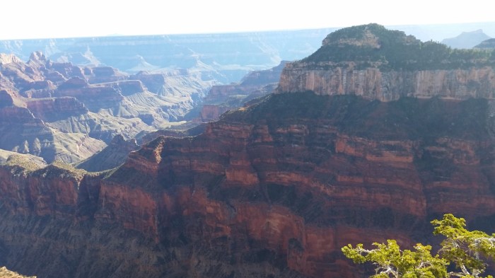 20151002_154358 (Medium)