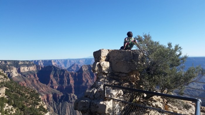 20151002_154407 (Medium)