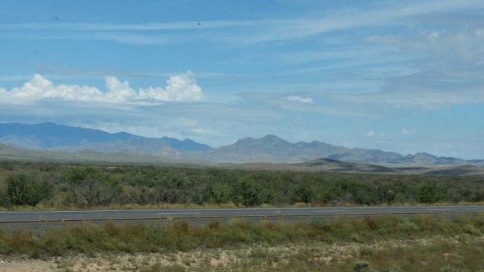 20151018_110651 (Medium)