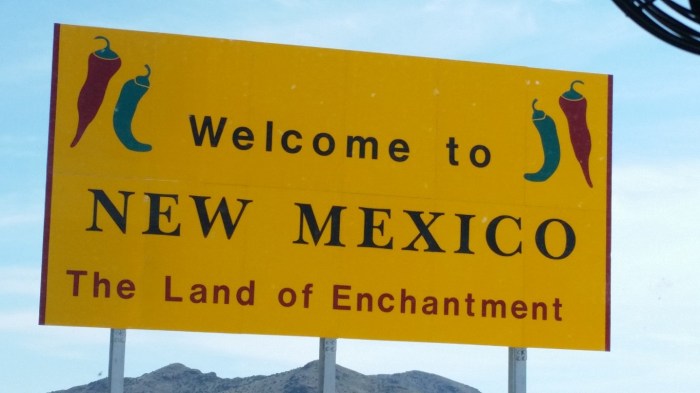 20151018_114949 (Medium)