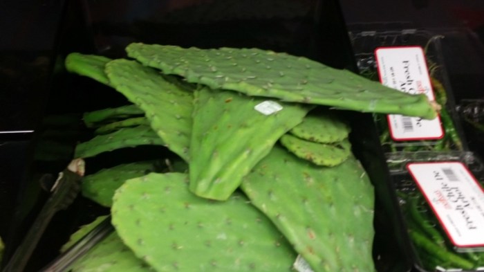 20151018_135831 (Medium)