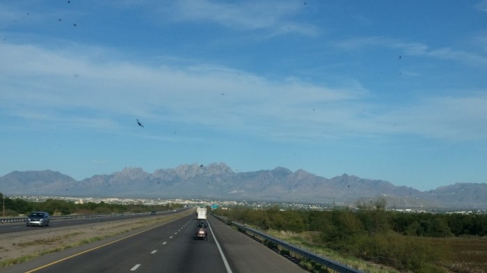 20151018_170629 (Medium)