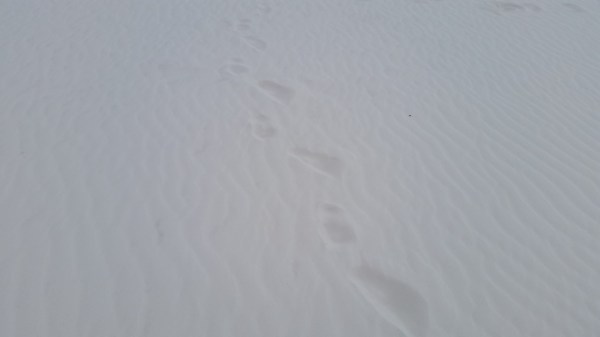 20151019_170300 (Medium)