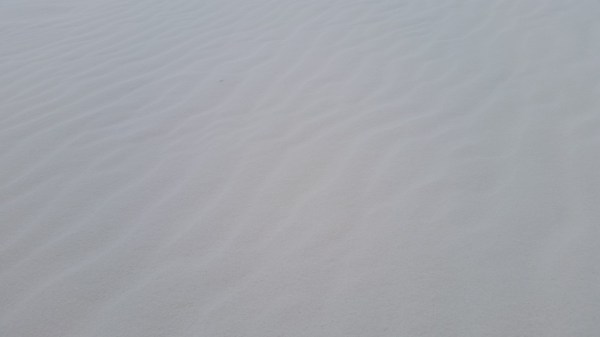 20151019_170408 (Medium)