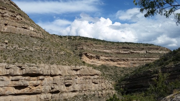 20151020_120834 (Medium)