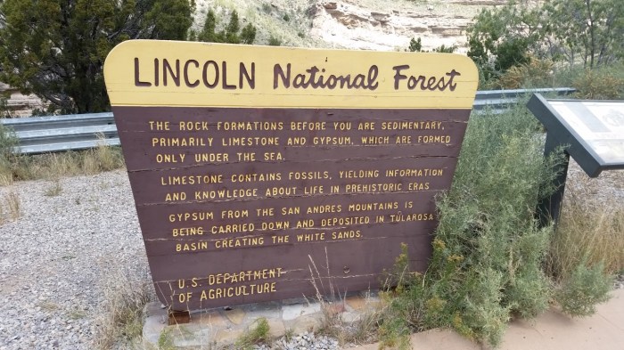 20151020_121011 (Medium)