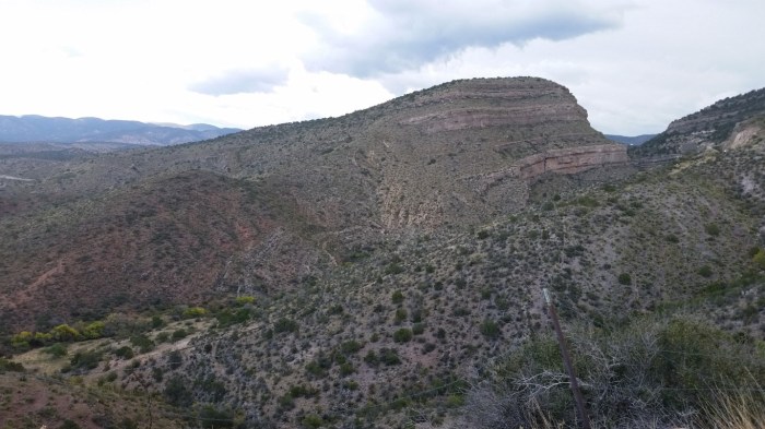 20151020_140852 (Medium)