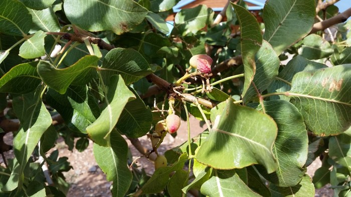 20151020_144105 (Medium)