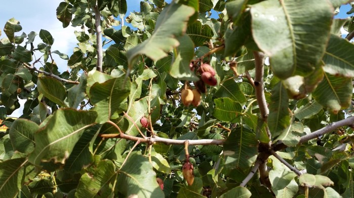 20151020_144145 (Medium)