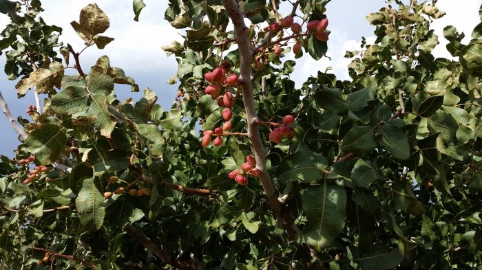 20151020_144232 (Medium)