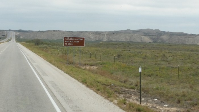 20151021_111602 (Medium)