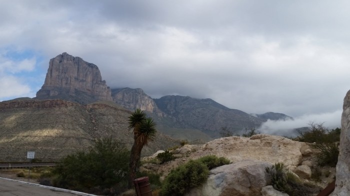 20151021_112547 (Medium)