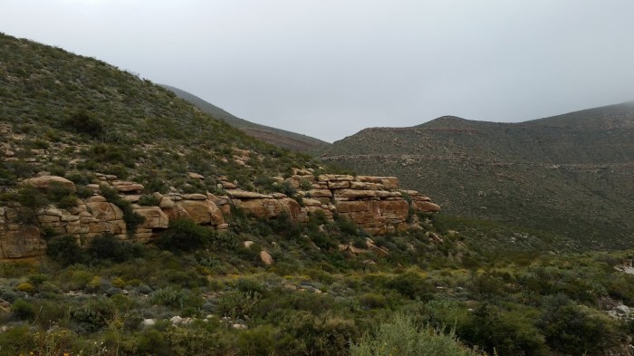 20151021_113322 (Medium)