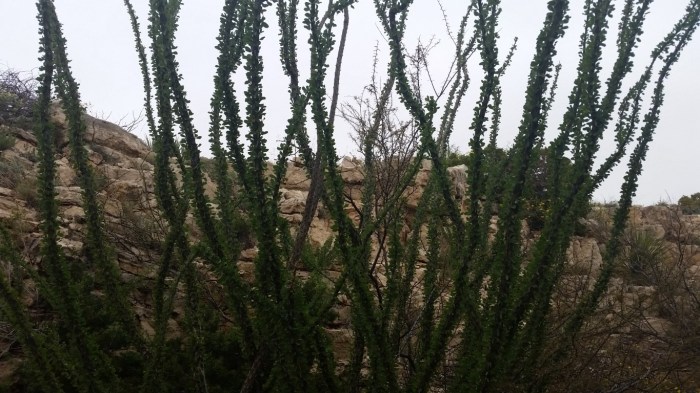 20151021_120302 (Medium)