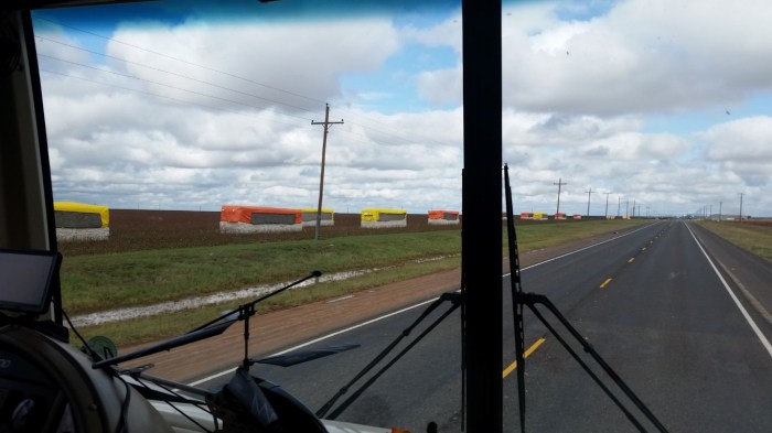 20151022_160517 (Medium)