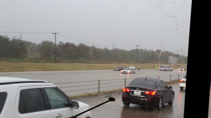 20151023_155216 (Medium)