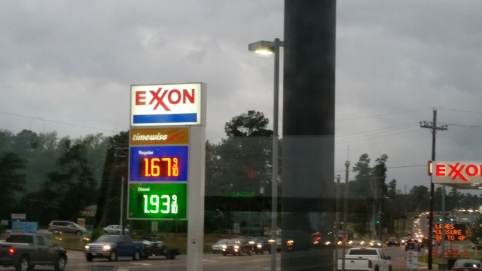 20151023_182433 (Medium)