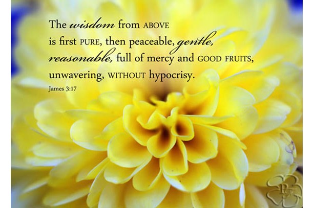 30differentfontyellowmumwithjas317_123066_224207_579x