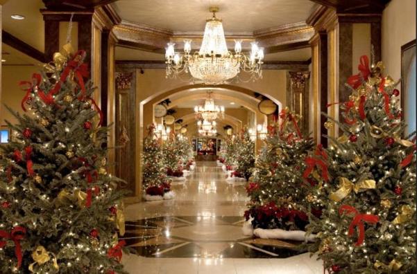 10849898_758034377585617_910616954016465980_n