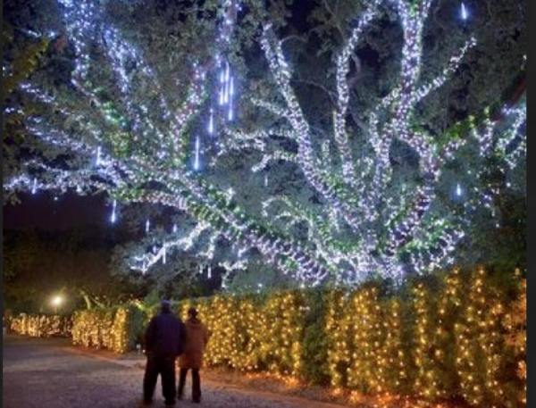 970389_758034480918940_5830156491919640906_n