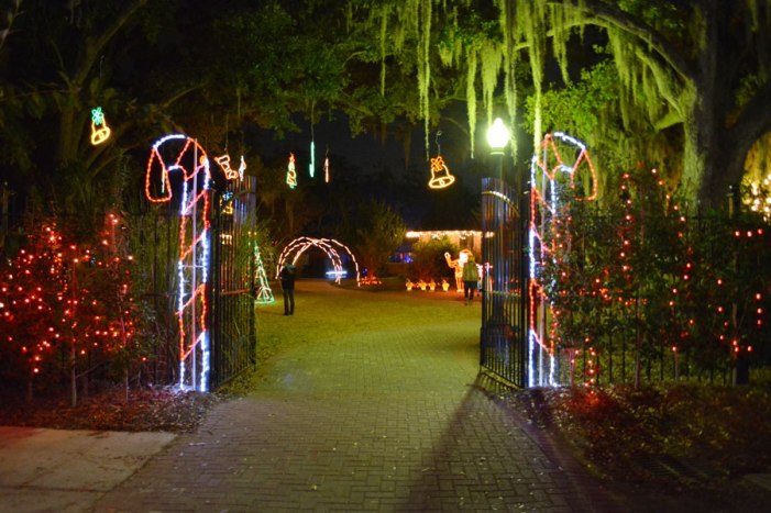 celebration-in-the-oaks-merevin-06