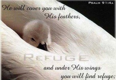 psalm 91 4a