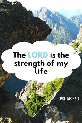 11701141_995237680517468_6134606517760295525_n