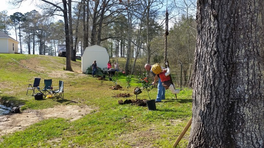 20160306_144034 (Medium)